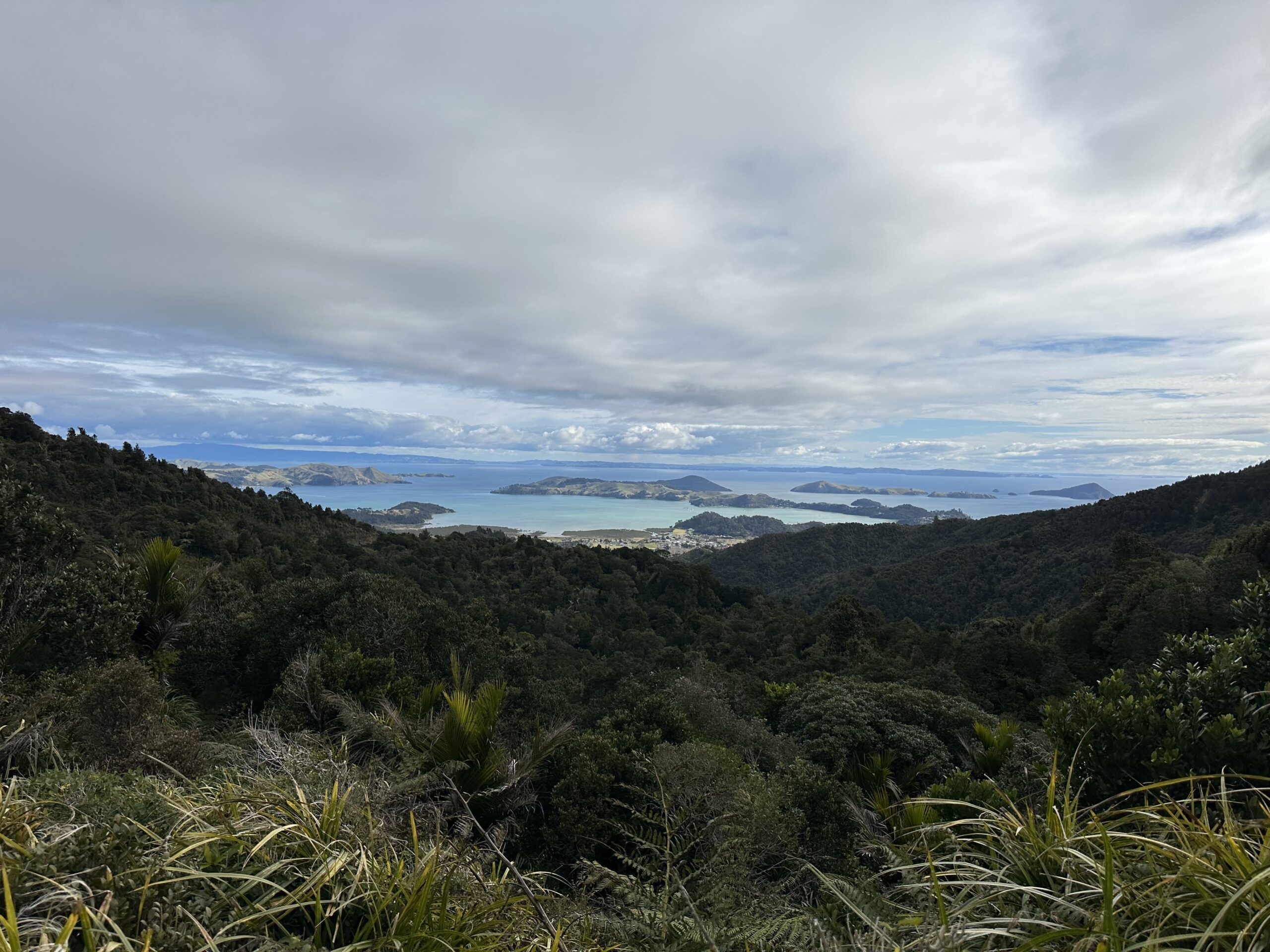 Guided four wheel driving in the New Zealand back country