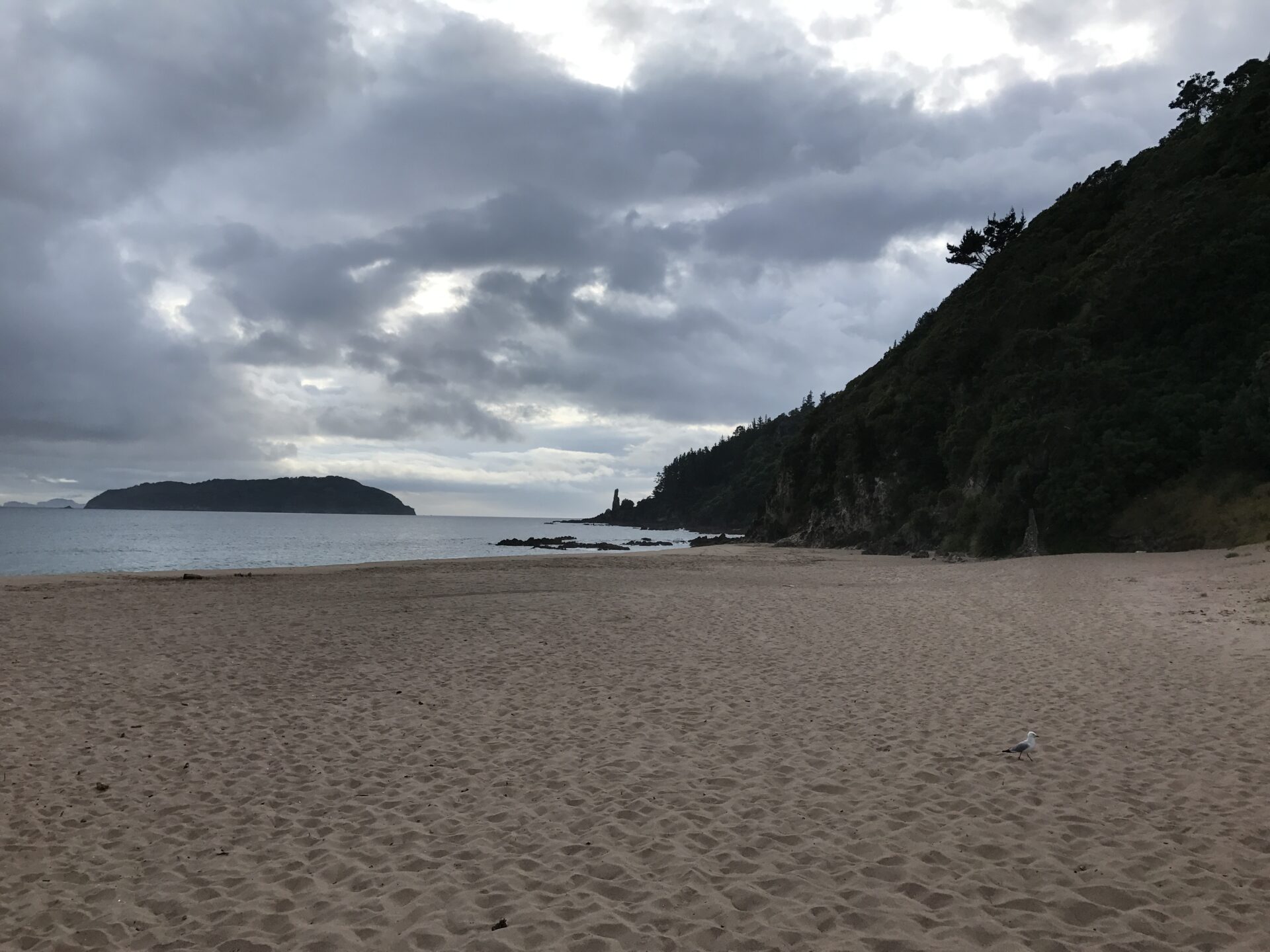 New Zealand coastline on tour